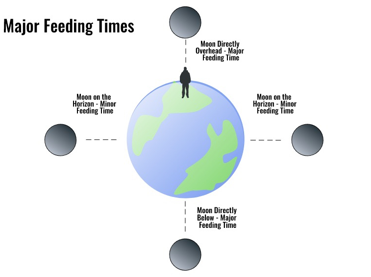 Moon Phase Fishing Chart